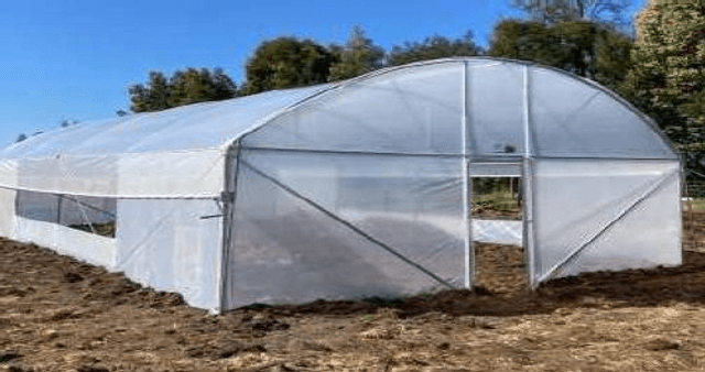 Serre maraichère professionnelle 6x14m + bâches 200 micron